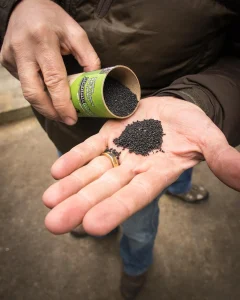 Biochar offers a way to turn India's farm smoke into 'black gold'