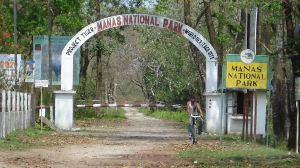 14 invasive plants behind grassland loss in one of India's first tiger reserves