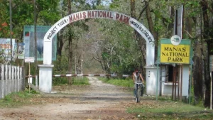 14 invasive plants behind grassland loss in one of India's first tiger reserves