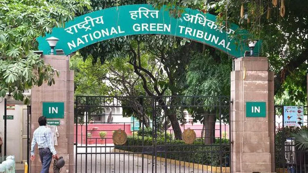 NGT orders recovery of ₹2.65 crore fine from BHU for illegally cutting 33 trees