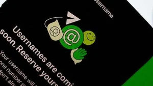 Centre to review messaging platforms' response on notice over username feature