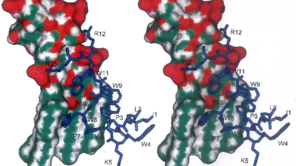 What's the deal with peptides? The hyped market under U.S. review