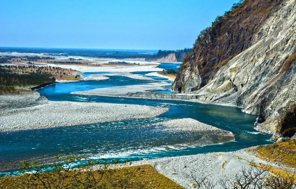 India's rarest heron faces a silent end as new dam ignores its home