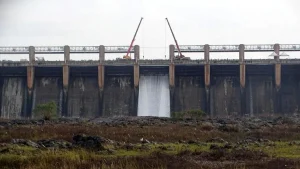 Tungabhadra dam gets new crest gates, but weak monsoon threatens paddy crop,