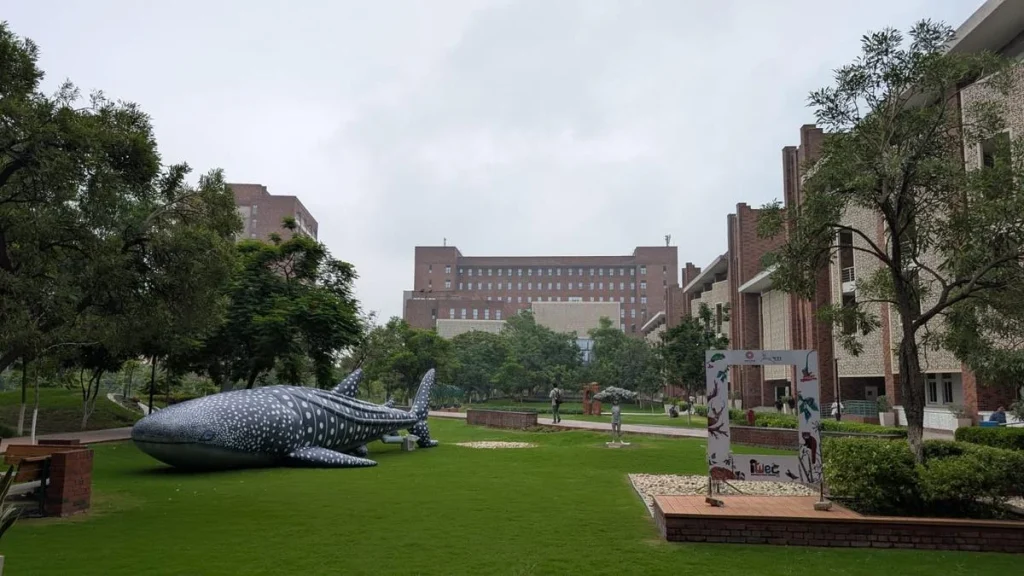 A new era of Indian ecology looks to its horizons, and to the ground