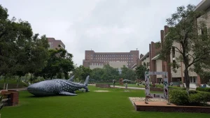 A new era of Indian ecology looks to its horizons, and to the ground