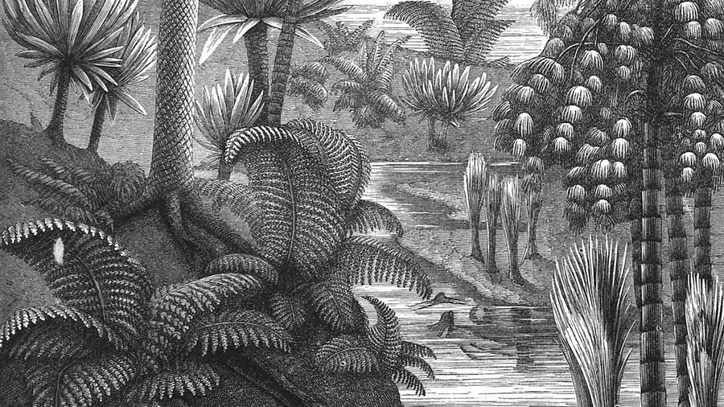 How did we identify fossil fuels to be remains of fossils, particularly those of