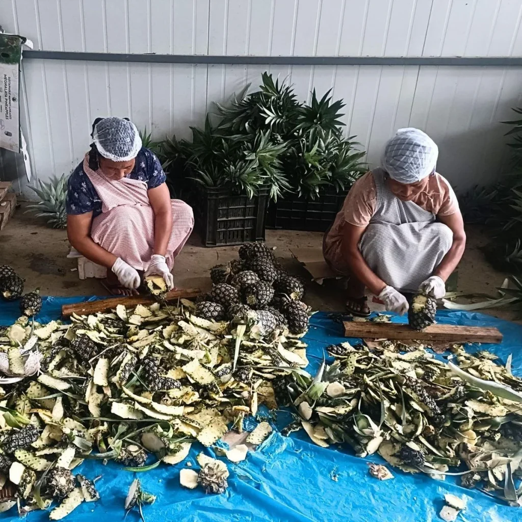 Roadside vendors turned exporters: Meghalaya's 'numbered' farmers reap fruits of