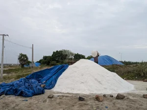 Living by the sun, losing to the rain: life in Marakkanam's salt pans in T.N.