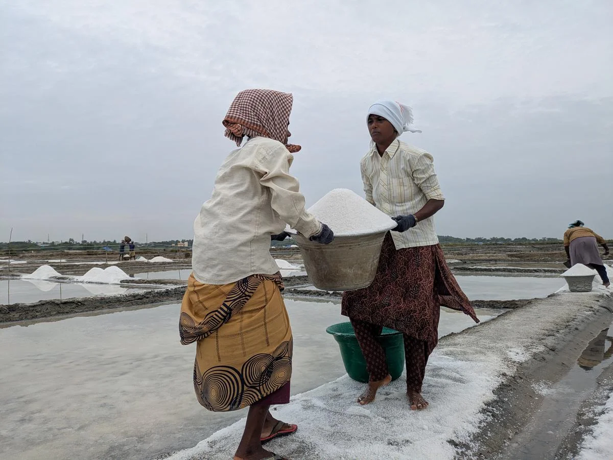 Living by the sun, losing to the rain: life in Marakkanam's salt pans in T.N.