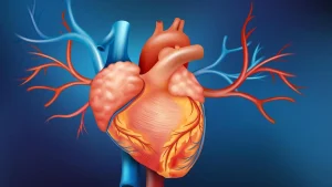 Study finds preserving heart valve during aortic surgery can improve long-term