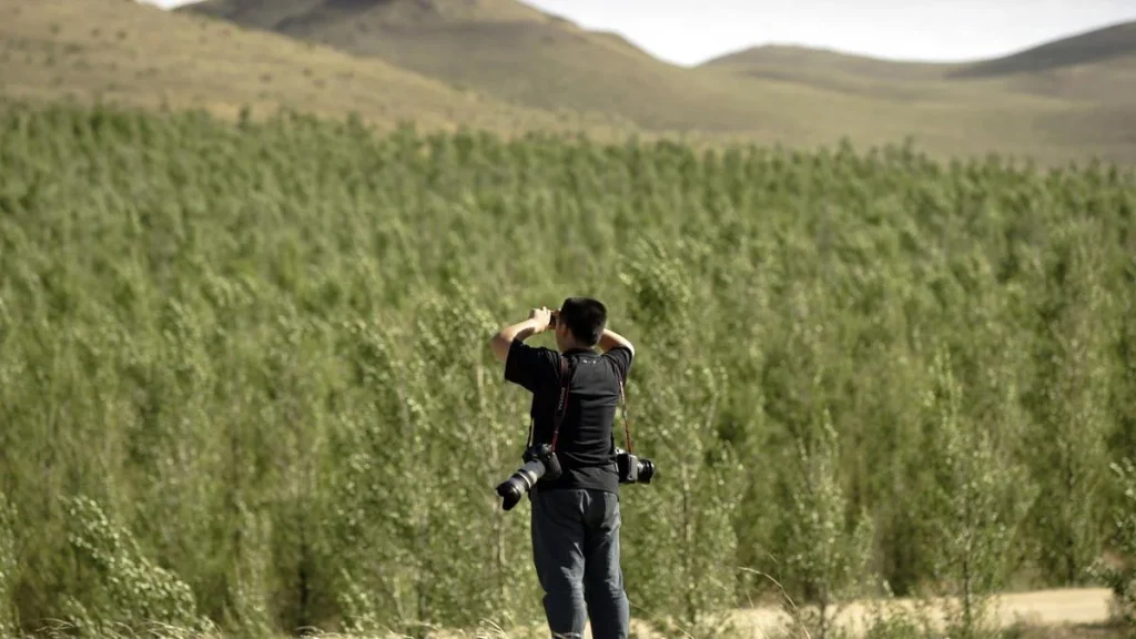 China's 'Great Green Wall' tames desert growth, but scientists say fight is not over