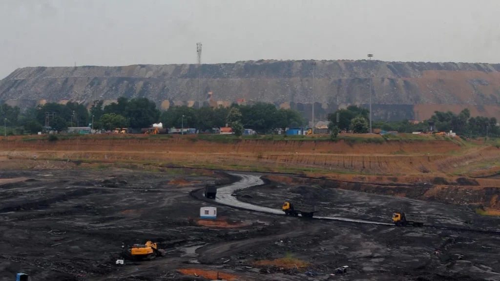 3.31 lakh trees likely to be felled in proposed coal project in Odisha's Angul