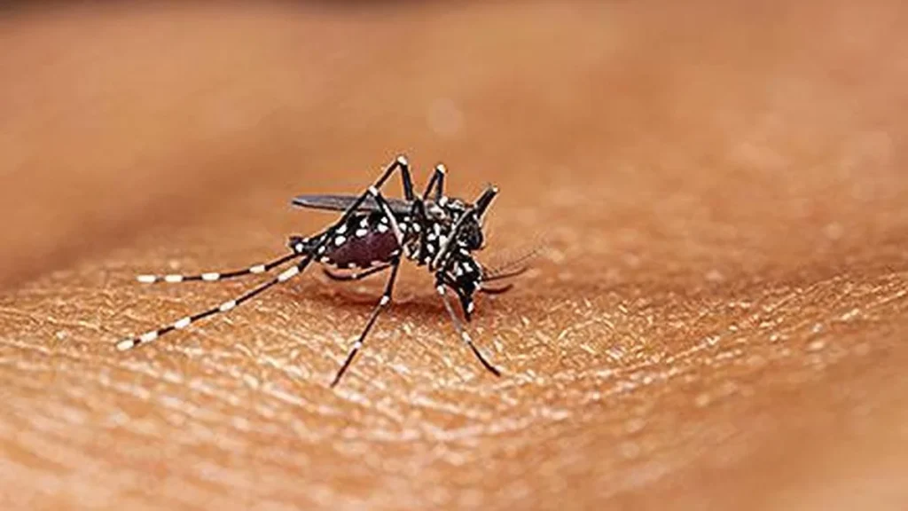 Rising malaria cases among migrant plantation workers spark concern in Kerala's