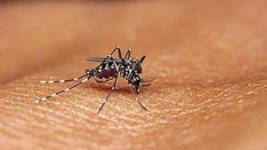 Rising malaria cases among migrant plantation workers spark concern in Kerala's