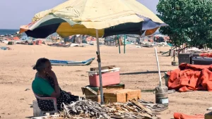 As the sea changes, fisherwomen in Tamil Nadu struggle to stay afloat