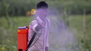 Centre bans paraquat dichloride, a herbicide linked to thousands of self-harm,