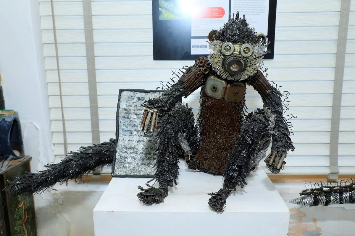 Kalyani Pramod's upcoming Chennai exhibition turns waste into art inspired by