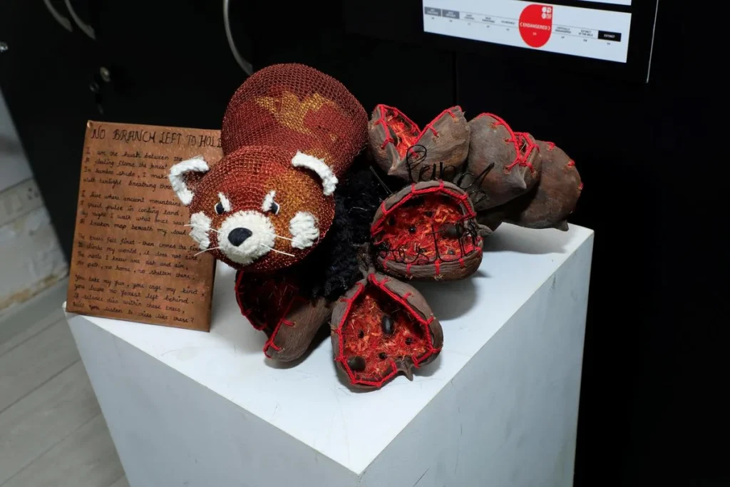 Kalyani Pramod's upcoming Chennai exhibition turns waste into art inspired by