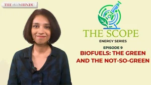 The green and the not-so-green of biofuels - explained | The Scope
