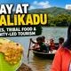 Why Coimbatore is planting bamboo around its lakes