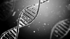 Study shows AI can design bacteriophages with potential to overcome bacterial