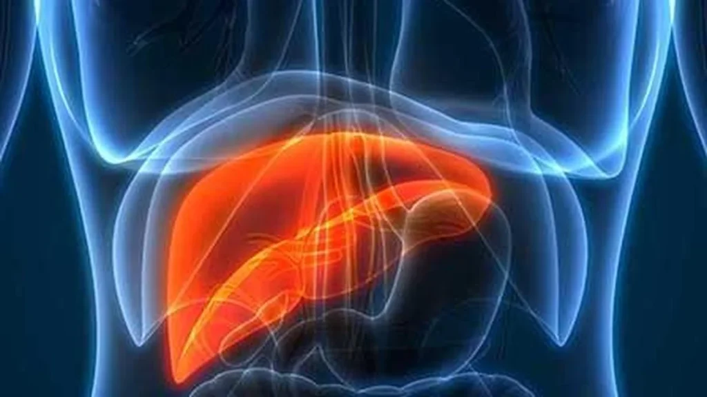 What your ALT level can reveal about liver health