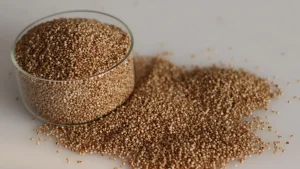 Millet fortified with iron, zinc does not harm toddlers' gut health, study finds