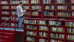 As AI firms transition from downloading popular books to shredding rare ones, readers and booksellers