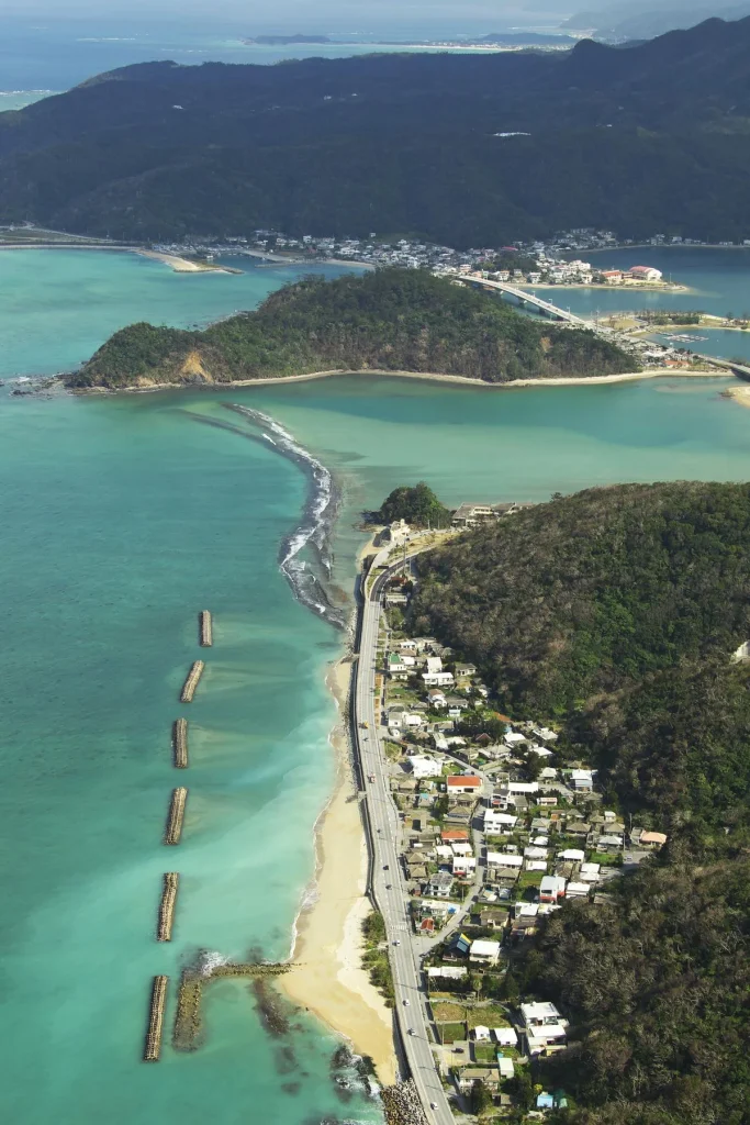 Okinawa: life in a blue zone