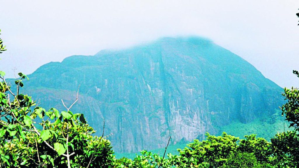 Frustrated by the Tamil Nadu government’s inability to evict “encroachers” in the Agasthyamalai