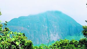 Frustrated by the Tamil Nadu government’s inability to evict “encroachers” in the Agasthyamalai
