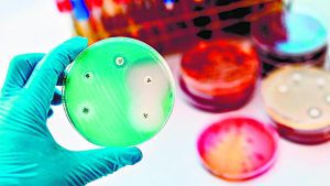 This was one of the first studies from Keralam that had given a clear indication that AMR was no longer