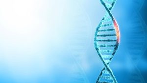 What we can learn from nature switching off human genes