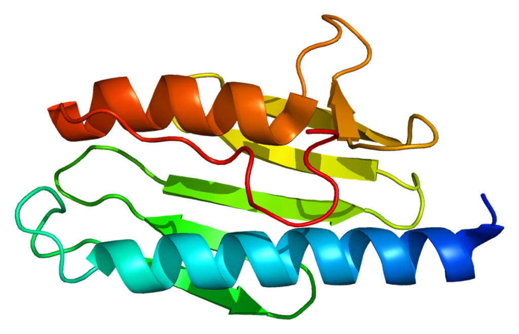 Friedreich’s ataxia, or FRDA, is a genetic disorder that progressively damages the nerves and the heart