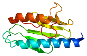 Friedreich’s ataxia, or FRDA, is a genetic disorder that progressively damages the nerves and the heart