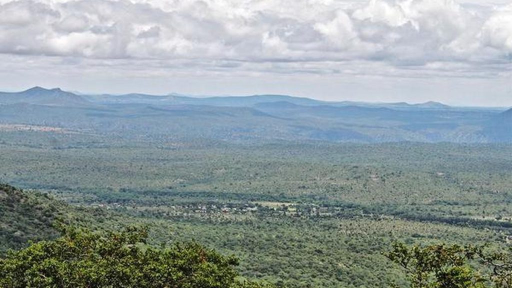 These changes were having an impact on the four forest types analysed by the researchers