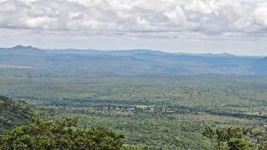 These changes were having an impact on the four forest types analysed by the researchers