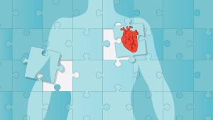 Tested and assessed: AI heart disease prediction tools show promise but are not ready for clinical use