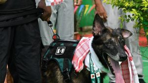 Leon, a Belgian Malinois, tracked wildlife crime suspects, assisted in anti-poaching operations