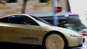 But industry experts said regulatory gray areas and Elon Musk’s litigious track record could