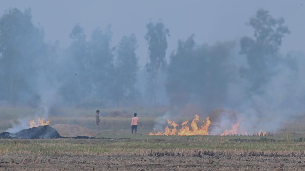 CAQM in talks with Punjab, Haryana to improve stubble burning estimation protocol