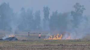 CAQM in talks with Punjab, Haryana to improve stubble burning estimation protocol