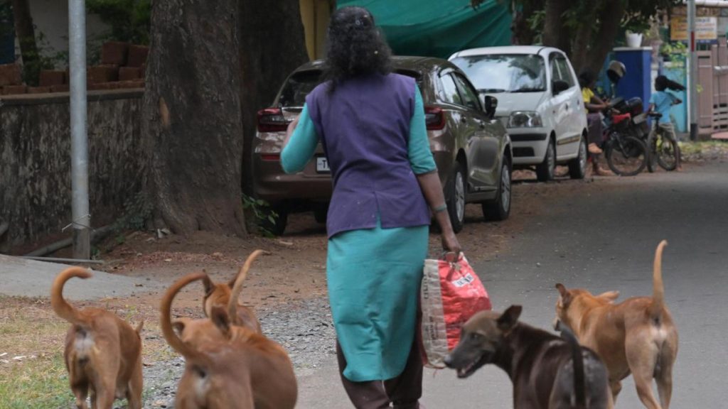 Because it stops virus transmission in the community, and takes us closer to rabies