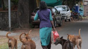Because it stops virus transmission in the community, and takes us closer to rabies