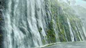 Keralam has urged the Centre to limit the Ecologically Sensitive Area (ESA) in its Western
