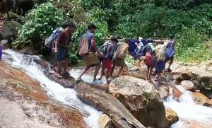Patient carried on makeshift bamboo stretcher to hospital in Keralam's Edamalakkudy; fourth