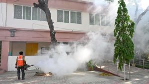 With dengue cases on the rise, the post of District Entomologists is lying vacant in more than