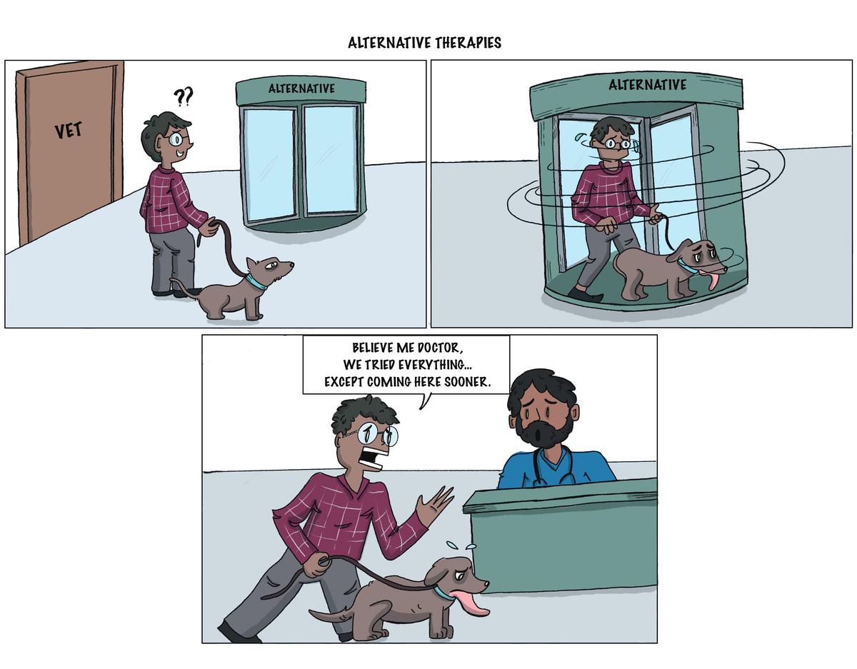 Behind every treated animal, a veterinarian carrying unseen strain
