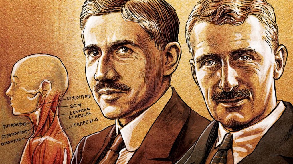 Hill and Otto Meyerhof studied how muscles use chemical energy to contract and recover